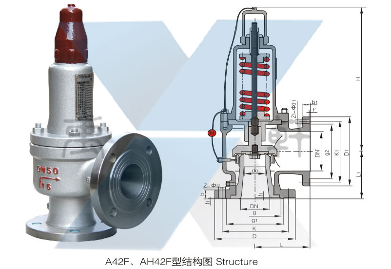 AH42F-16/25/40C,P,R型安全回流阀(图1)