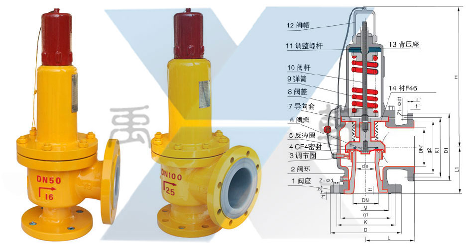 A42PFA-16C-DN50衬氟氯气专用安全阀(图1)